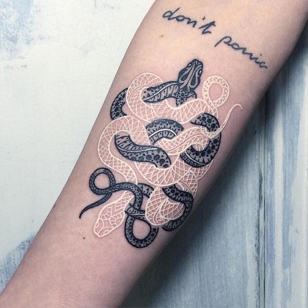 tatouage serpent 466