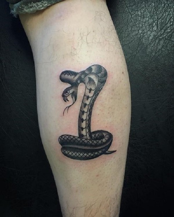 tatouage serpent 557