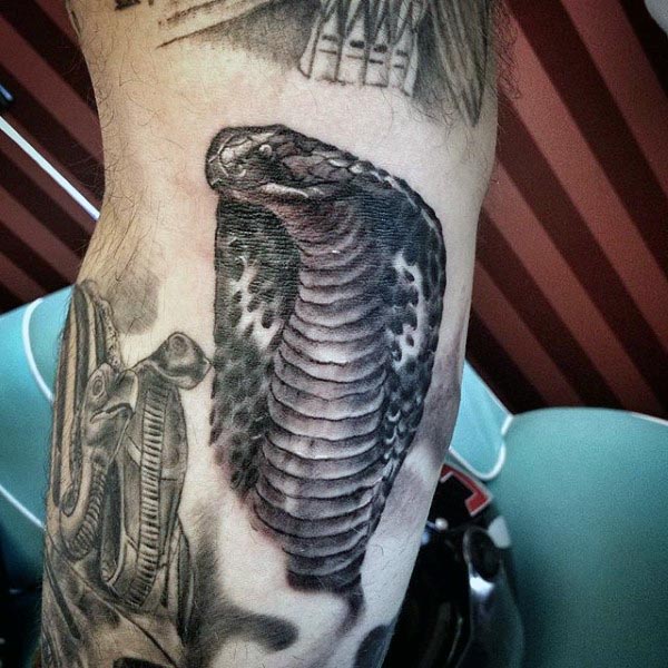 tatouage serpent cobra 73