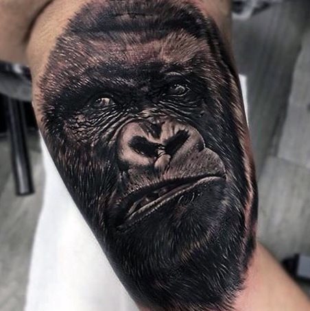 tatouage gorille 202