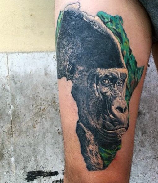 tatouage gorille 238
