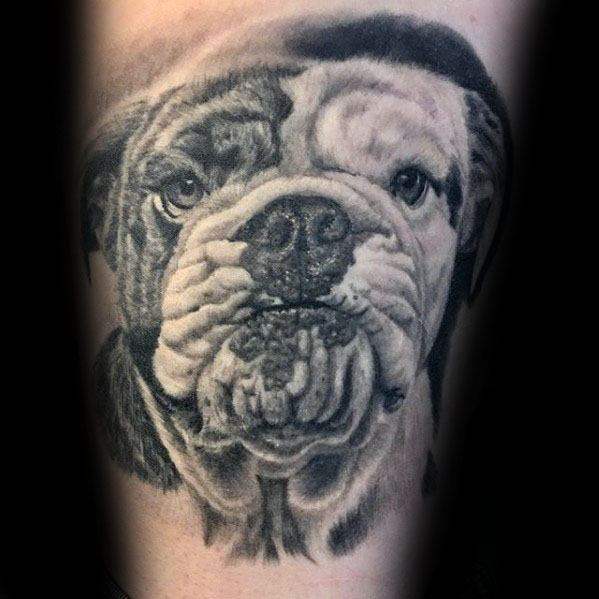 tatouage bulldog 02