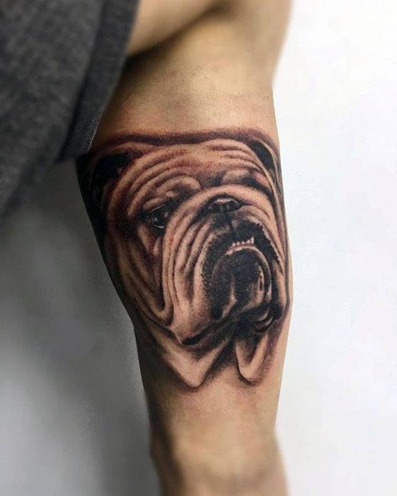 tatouage bulldog 50