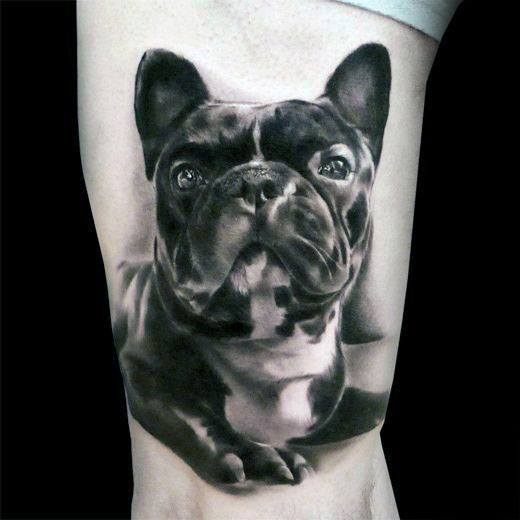 tatouage bulldog 89
