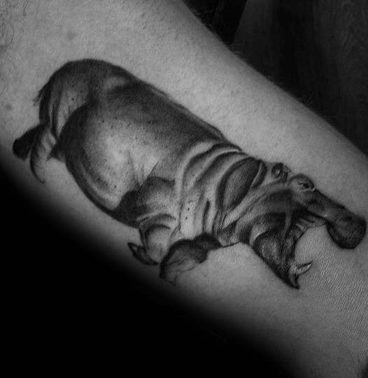 tatouage hippopotame 21
