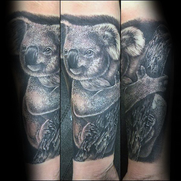 tatouage koala 33