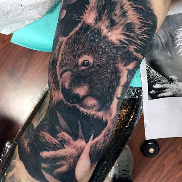 tatouage koala 35