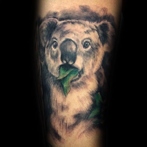 tatouage koala 37