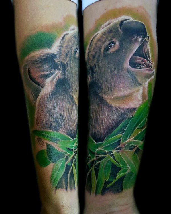 tatouage koala 39