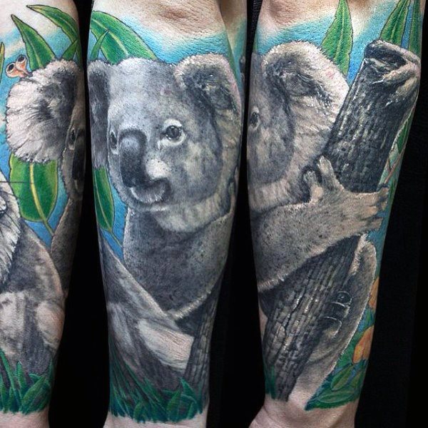 tatouage koala 43