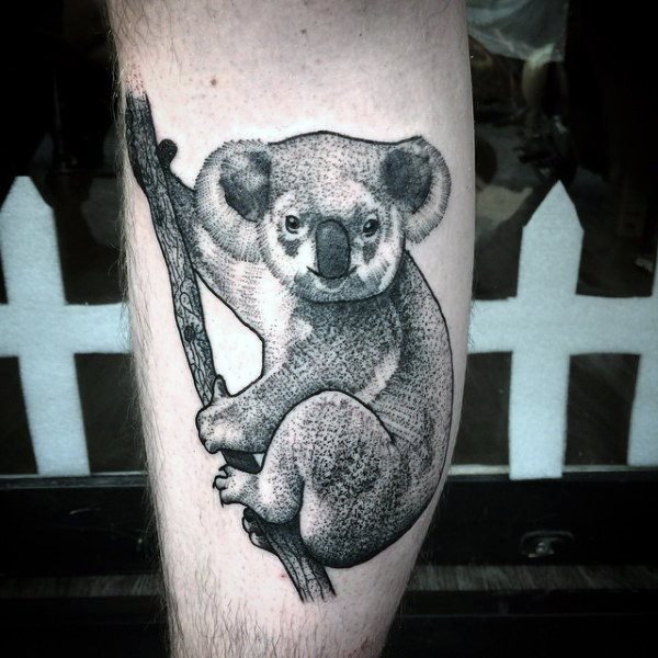 tatouage koala 51