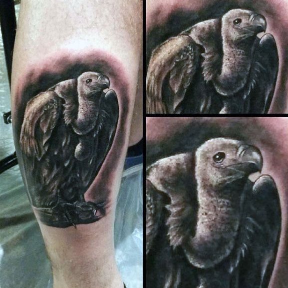 tatouage vautour 121