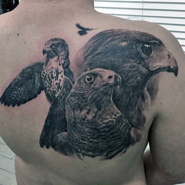 tatouage faucon 118