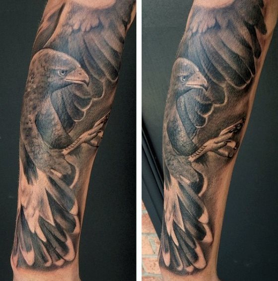 tatouage faucon 142
