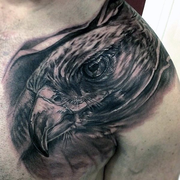 tatouage faucon 246