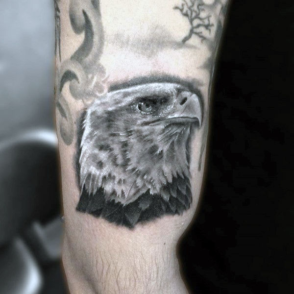 tatouage faucon 298