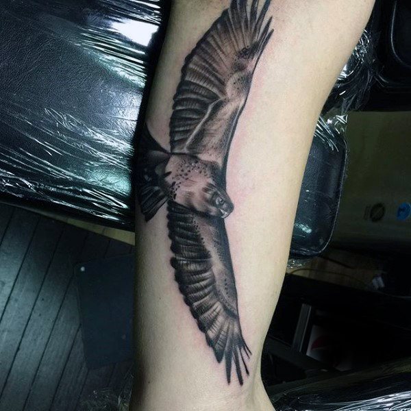 tatouage faucon 326