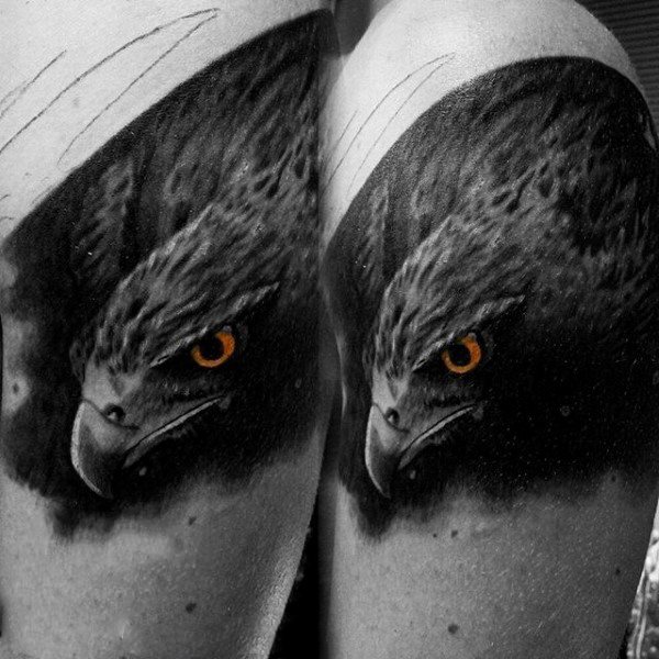 tatouage faucon 358