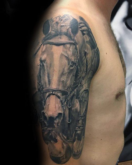 tatouage cheval 260