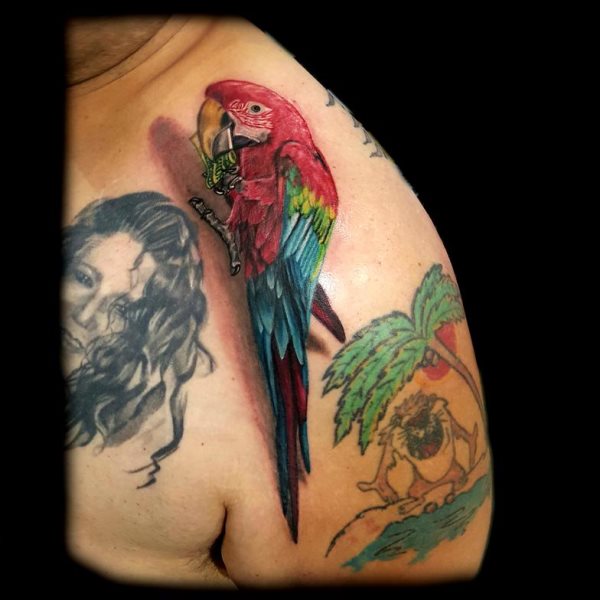 tatouage perroquet 05