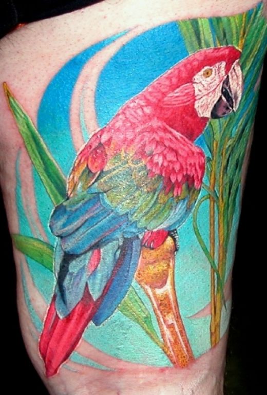 tatouage perroquet 101