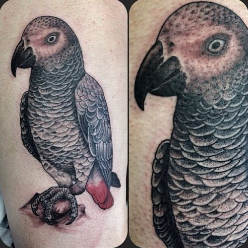 tatouage perroquet 11