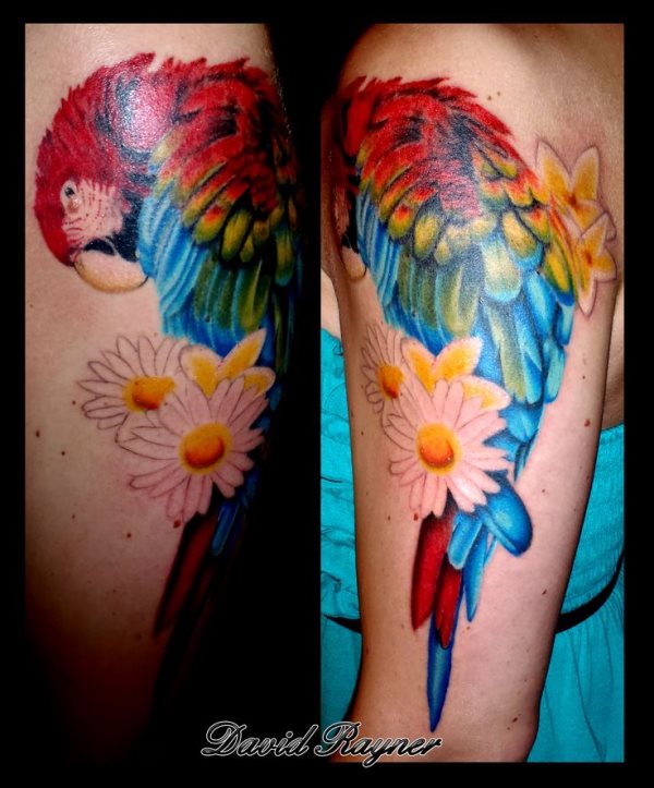 tatouage perroquet 116