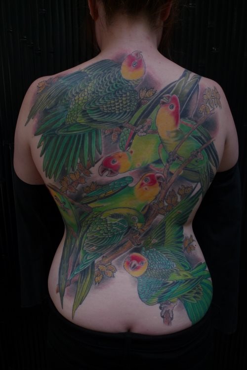 tatouage perroquet 122
