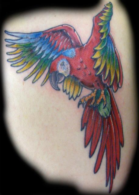 tatouage perroquet 131