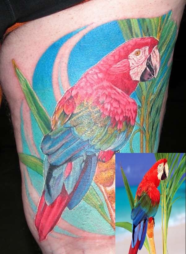 tatouage perroquet 134