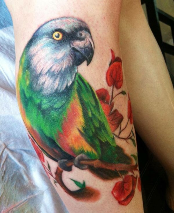 tatouage perroquet 161