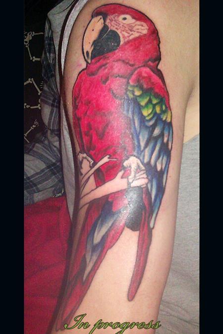 tatouage perroquet 167