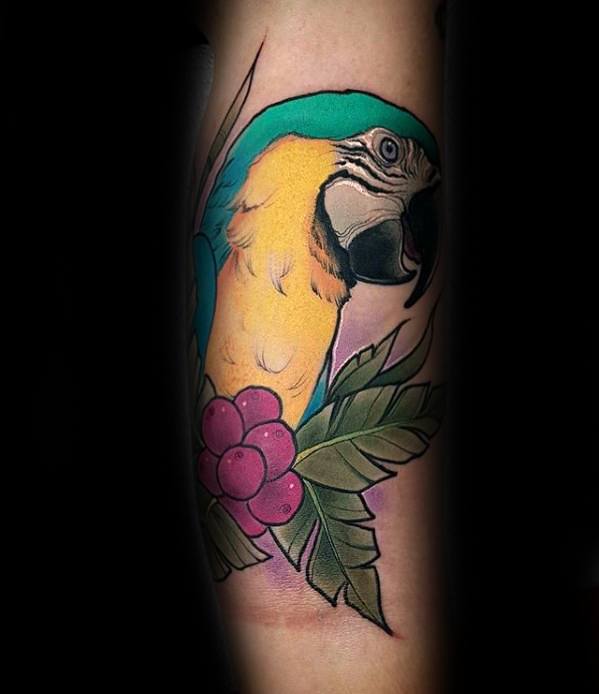 tatouage perroquet 17