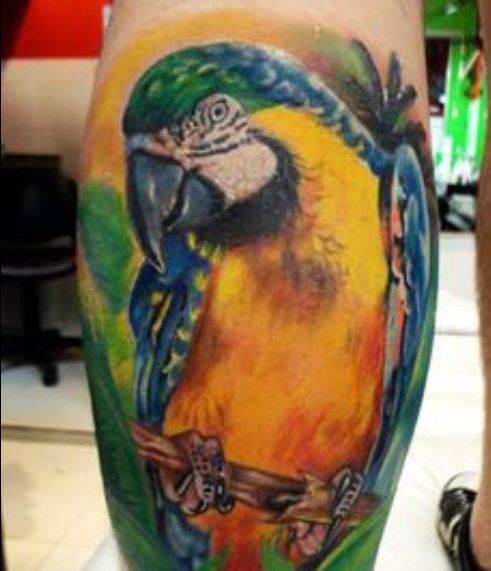 tatouage perroquet 170