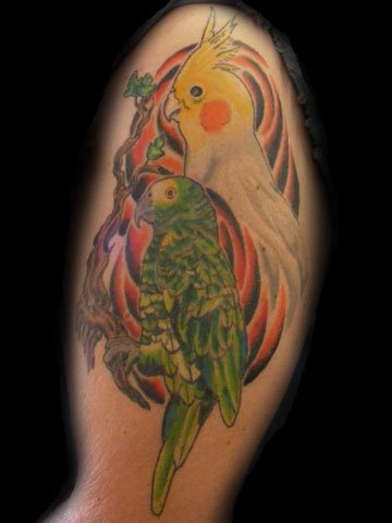 tatouage perroquet 173