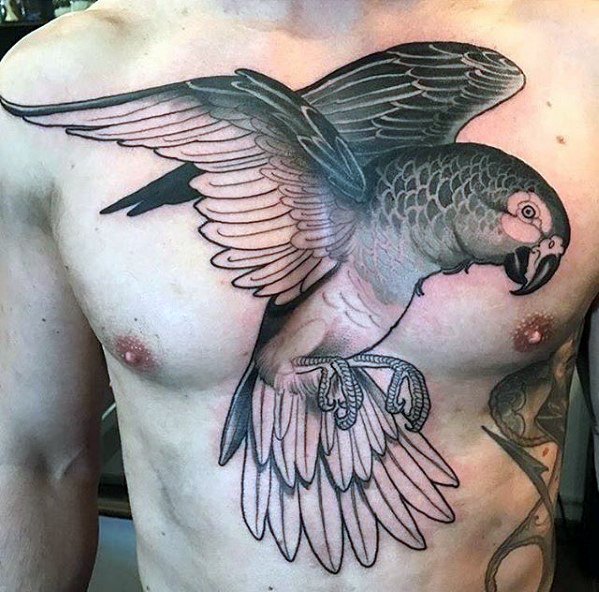 tatouage perroquet 179