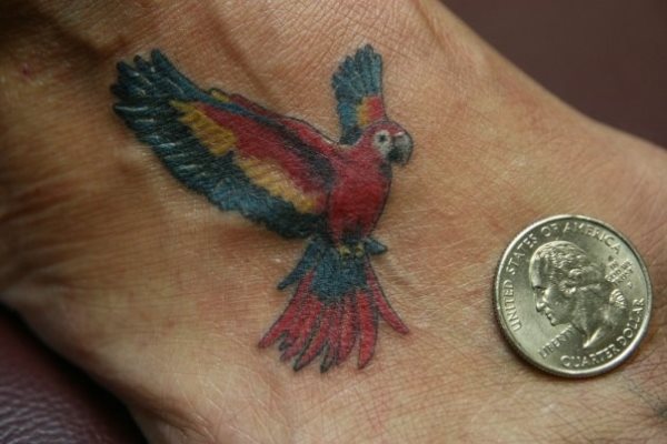 tatouage perroquet 194