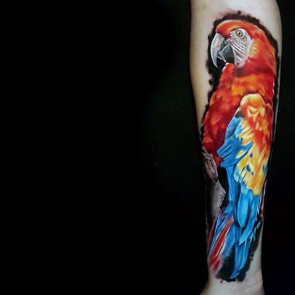 tatouage perroquet 203