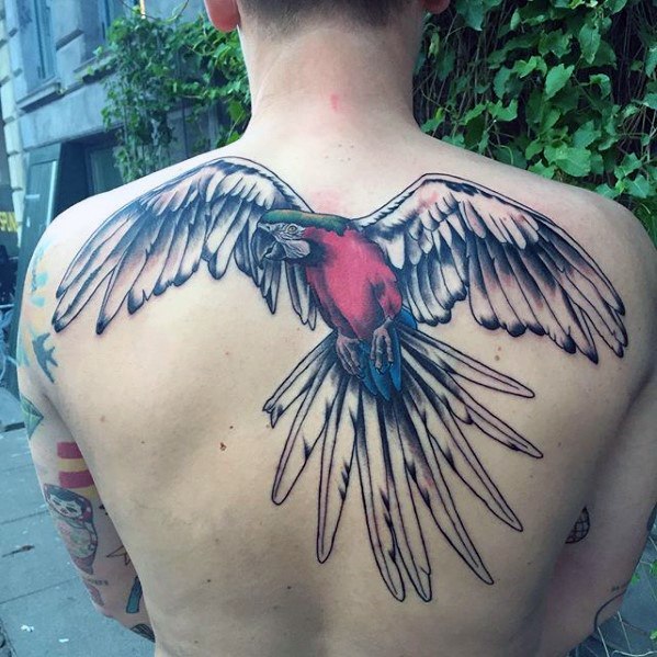 tatouage perroquet 215