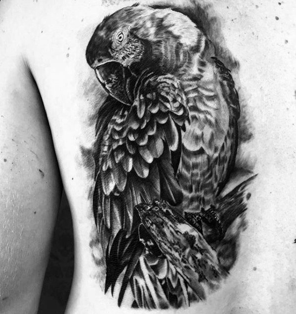 tatouage perroquet 236