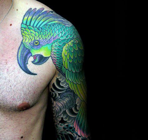 tatouage perroquet 242