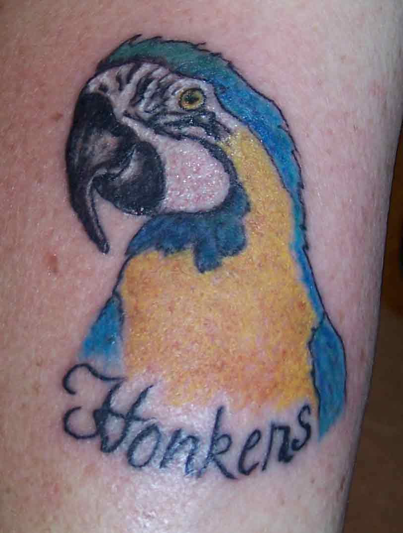 tatouage perroquet 248