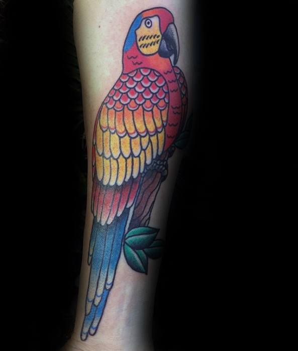 tatouage perroquet 260