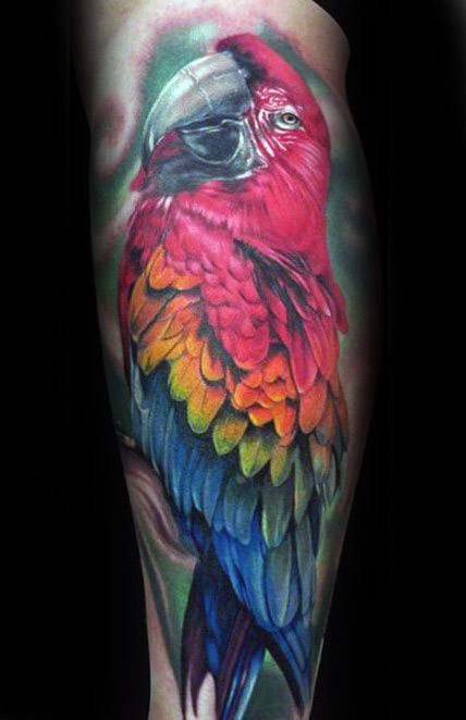 tatouage perroquet 272