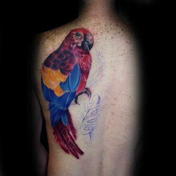 tatouage perroquet 281