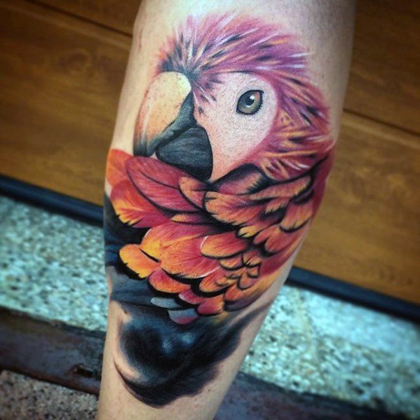 tatouage perroquet 290