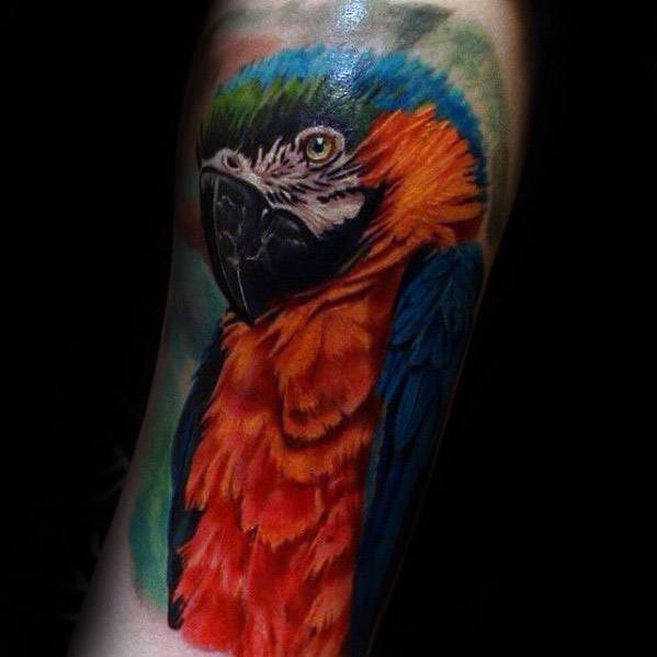 tatouage perroquet 299