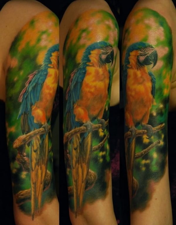 tatouage perroquet 305