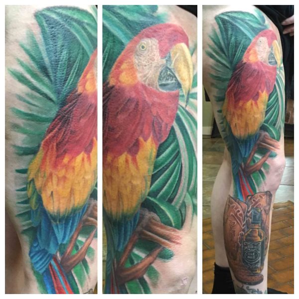 tatouage perroquet 311