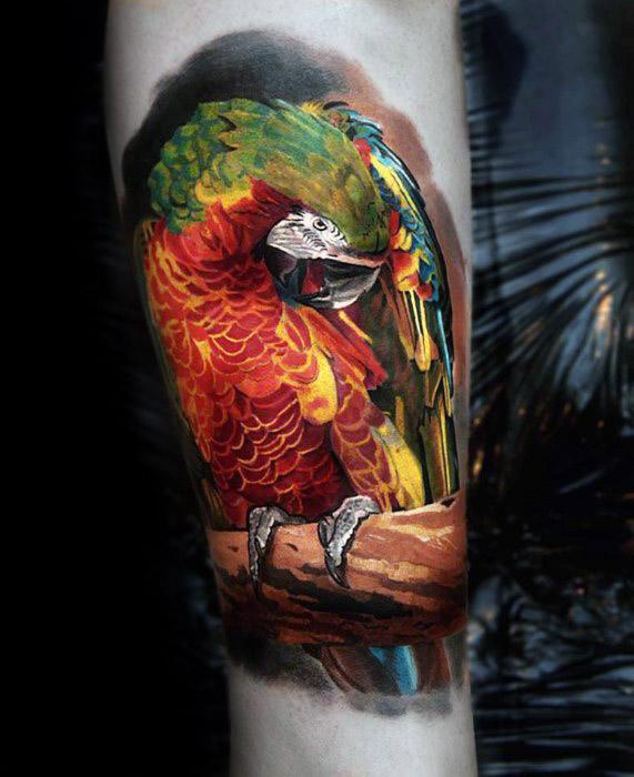 tatouage perroquet 317